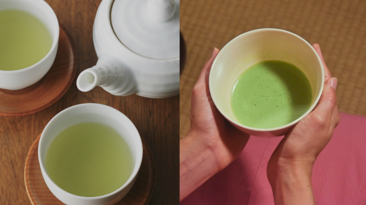 Green Tea vs. Matcha: What’s the Difference?