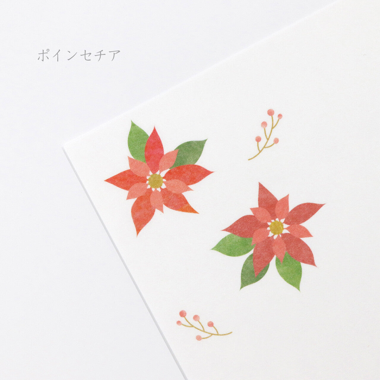 Two red poinsettia flowers with green leaves on a white background