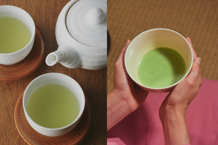 Green Tea vs. Matcha: What’s the Difference?