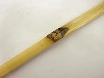 Wooden stick with a small object on a white background