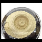 Round beige object with concentric circles on a clear background