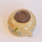 Ceramic bowl with brown interior and colorful exterior on a white background