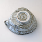 Underside view of the gray and white Mino Ware katakuchi bowl showing the circular foot ring and spiral glaze around the base.