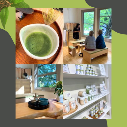 Matcha Tea Tasting